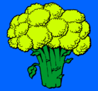 Dibujo Brócoli pintado por NATALIA