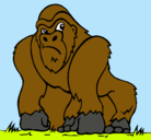 Dibujo Gorila pintado por benjaminxito212808