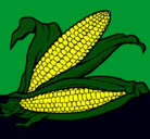 Dibujo Mazorca de maíz pintado por monica