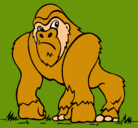 Dibujo Gorila pintado por mono