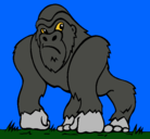 Dibujo Gorila pintado por simon