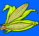 Dibujo Mazorca de maíz pintado por anahid