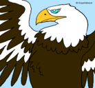Dibujo Águila Imperial Romana pintado por agus****