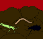 Dibujo Varios insectos pintado por itziarsoraluze