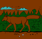 Dibujo Coyote pintado por fransisco