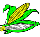 Dibujo Mazorca de maíz pintado por jaime