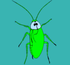 Dibujo Cucaracha grande pintado por aracellibarrueto