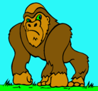 Dibujo Gorila pintado por hul