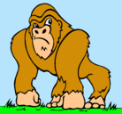 Dibujo Gorila pintado por leo