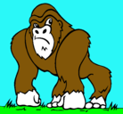 Dibujo Gorila pintado por alex