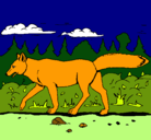 Dibujo Coyote pintado por juli