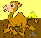 Dibujo Camello pintado por anetvictoria