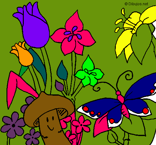 Fauna y flora
