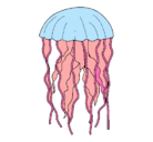 Dibujo Medusa pintado por alex
