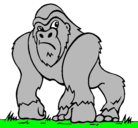 Dibujo Gorila pintado por jorge