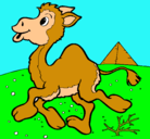 Dibujo Camello pintado por pinki