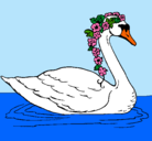 Dibujo Cisne con flores pintado por Lety