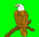 Dibujo Águila en una rama pintado por manuel