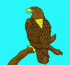 Dibujo Águila en una rama pintado por reyna