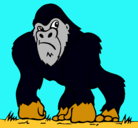 Dibujo Gorila pintado por eduardo