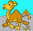 Dibujo Camello pintado por fernando