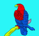 Dibujo Águila en una rama pintado por ricky