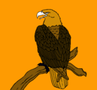 Dibujo Águila en una rama pintado por alicia