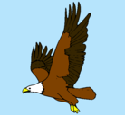 Dibujo Águila volando pintado por alexia.
