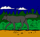Dibujo Coyote pintado por gema1077