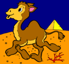 Dibujo Camello pintado por looping