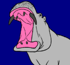 Dibujo Hipopótamo con la boca abierta pintado por yohan