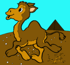 Dibujo Camello pintado por Davidd