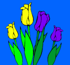 Dibujo Tulipanes pintado por skuld