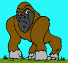 Dibujo Gorila pintado por CARLOS