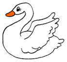 Dibujo Cisne pintado por cisne