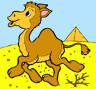 Dibujo Camello pintado por edu