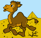 Dibujo Camello pintado por ana