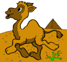 Dibujo Camello pintado por nathanael