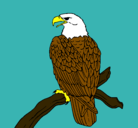 Dibujo Águila en una rama pintado por alexiiah