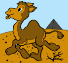 Dibujo Camello pintado por luisedwin