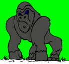 Dibujo Gorila pintado por salomon