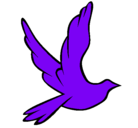 Dibujo Paloma de la paz al vuelo pintado por jorge