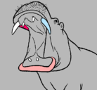 Dibujo Hipopótamo con la boca abierta pintado por daniel