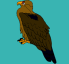 Dibujo Águila pintado por juanma