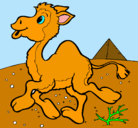 Dibujo Camello pintado por amayrani