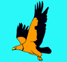 Dibujo Águila volando pintado por khvfrybjcgy