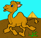 Dibujo Camello pintado por mirka