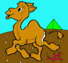 Dibujo Camello pintado por gabriel