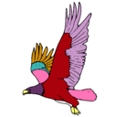 Dibujo Águila volando pintado por Karen