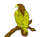 Dibujo Águila en una rama pintado por andres